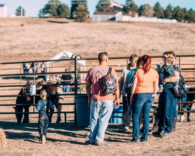 Pumpkin Patch Admission in Monument