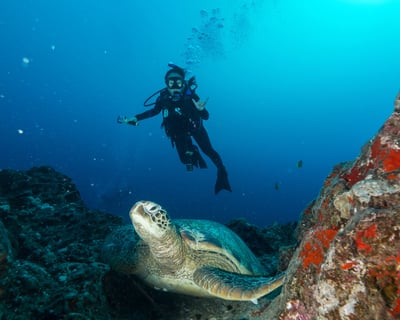 Oahu Scuba Diving: 3-Tank Wreck & Reef Tour