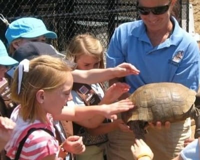 Guided Animal Encounter Tour in Bonsall