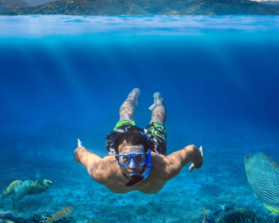 Waikiki Snorkel Tour at Turtle Canyons