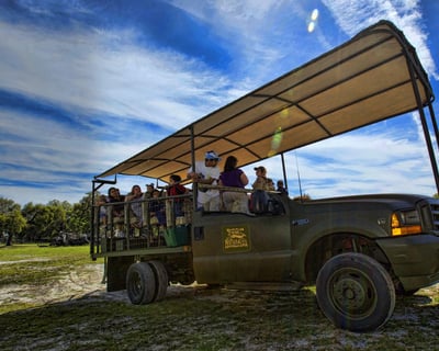 Guided Safari Truck Tour in Lakeland