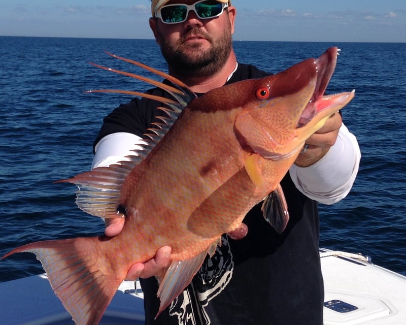 Private Morning Offshore Fishing Charter in Madeira Beach