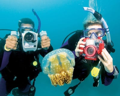 Miami Digital Underwater Photography Course