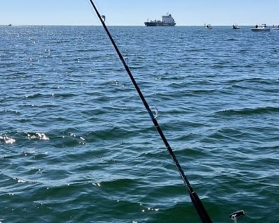 8-Hour Deep Sea Fishing Charter in Pensacola
