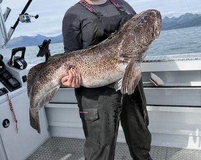 9-Hour Homer Halibut Fishing Charter