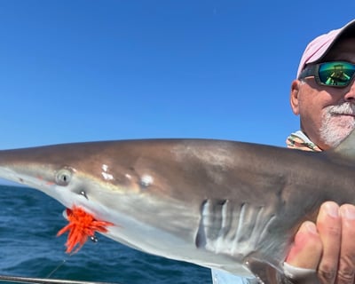 Sea Isle City Summer Shark Fishing Charter