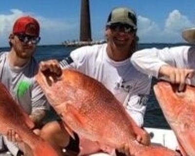Dauphin Island 8-Hour Deep Sea Fishing Charter