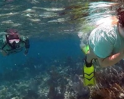 Key West Private Snorkeling & Fishing Charter