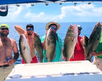 10-Hour Hardcore Bottom Fishing Charter