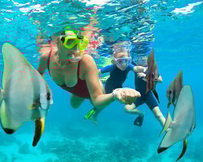 Mauna Kea Two-Stop Sealife Snorkel