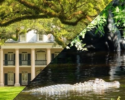 Covered Swamp Boat Tour & Oak Alley Plantation from New Orleans