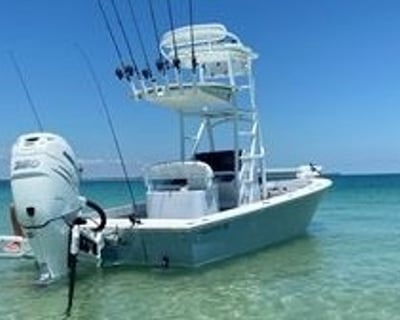 Shelling & Dolphin Charter in St. Pete Beach