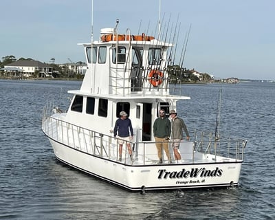 Gulf Shores Reef Fishing Charter from Orange Beach