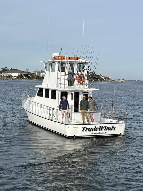 Gulf Shores Reef Fishing Charter from Orange Beach
