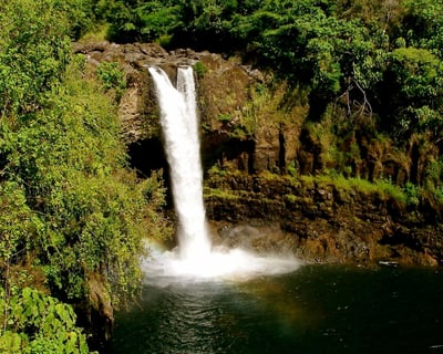 Hilo Hamakua Coast Waterfalls Guided Tour