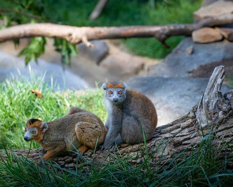Brandywine Zoo General Admission in Wilmington, DE