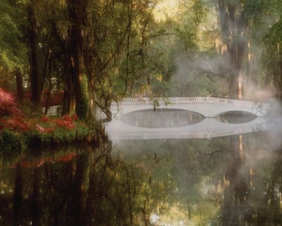 Tour Charleston & Magnolia Plantation Full-Day Combo