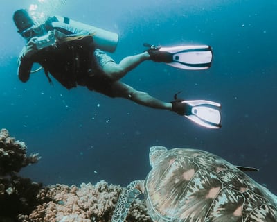 Key West Guided Reef & Wreck Dive Charter