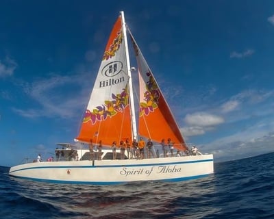 Snorkel & Sail Turtle Canyon With Lunch in Waikiki