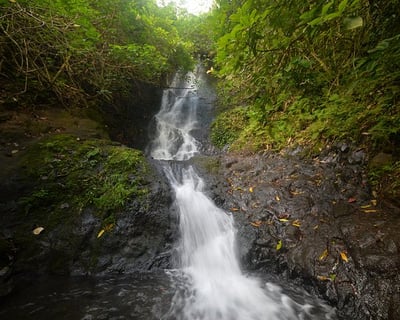 Downhill Bike & Koʻolau Waterfall Hike Oahu