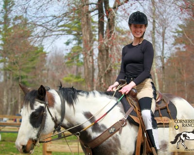 Beginner Full-Day Adult Horseback Riding Workshop