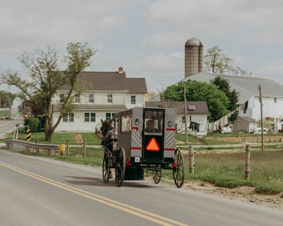 Sunday Amish Backroads Tour in Bird in Hand