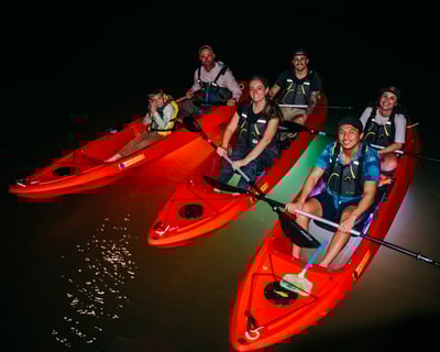 LED Nightlight Bioluminescence Clear Kayak or Paddleboard Tour