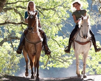 Temecula Horseback Ride & Wine Tasting