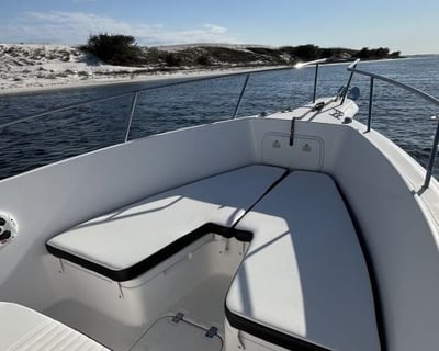 4-Hour Fishing Charter in Pensacola