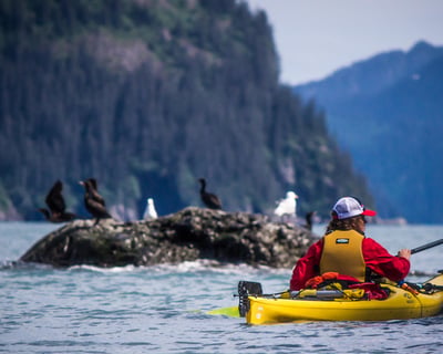 Round-Trip Water Taxi to Sunny Cove From Seward