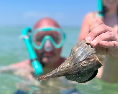 3-Hour Snorkeling Charter In Anna Maria Island