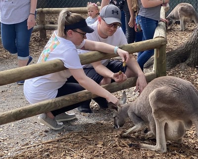 Honeybee Farm & Interactive Zoo Admission