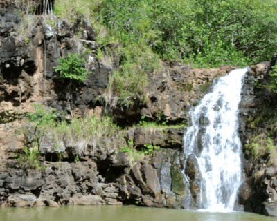 Hidden Gems Guided Tour of Oahu & Waimea Valley