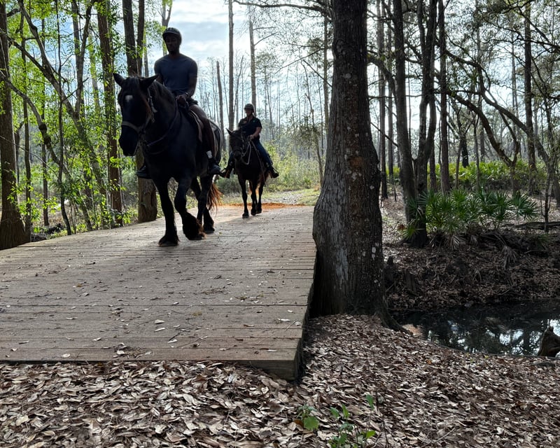 Private Horseback Trail Ride at Lake Louisa State Park