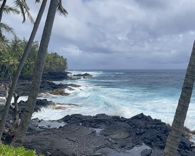 Ride a Fat Tire E-Bike Tour in Keaau