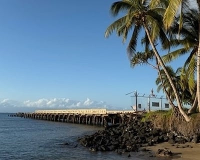 2-Hour Guided Shore Dive in Kaanapali & Lahaina