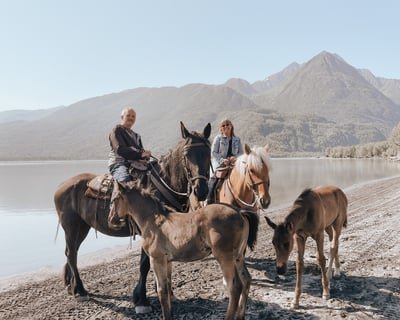 Guided 1.5-Hour Summer Horseback Trail Ride in Palmer