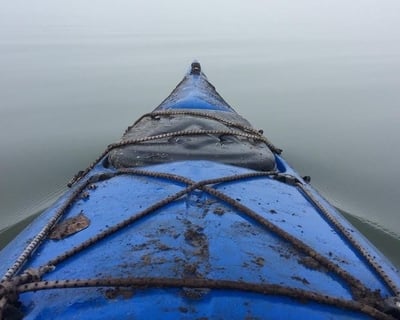 Morning Kayak Tour in Folly Beach