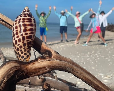 Marco Island Shelling Tour to Secluded Beaches