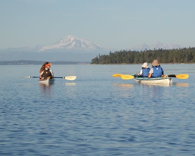 Eastsound 3-Hour Guided Kayak Tour