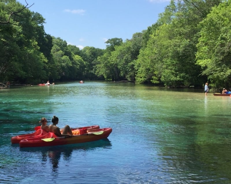 All-Day Tandem Kayak Rental at Cypress Springs