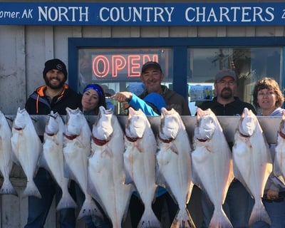 Halibut Fishing Charter in Homer