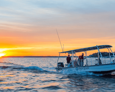 Sunset Dolphin Cruise In Hilton Head