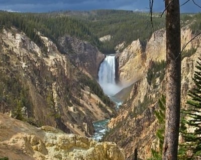 Guided Yellowstone Lower Loop Tour