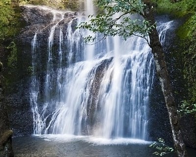 Columbia River Gorge Waterfalls & Botanical Hike