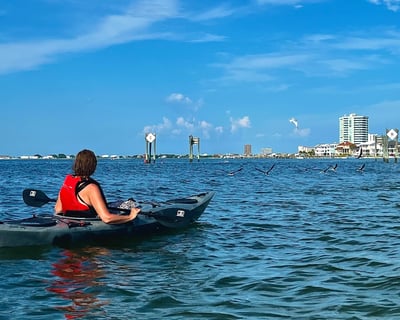Pensacola Beach Kayak Tour on Little Sabine Bay