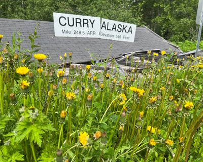 Guided Rail & Jet Boat Tour in Talkeetna