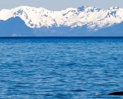 Private Resurrection Bay Cruise From Seward