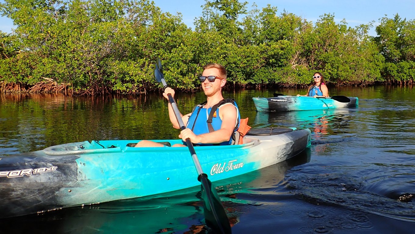 Paddle Mangrove Tunnels with Naturalist Guide