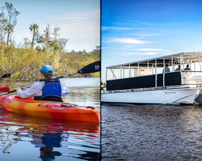 Everglades City Guided Kayak & Pontoon Boat Tour
